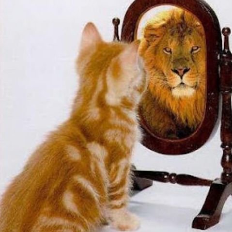 Confidence Building
